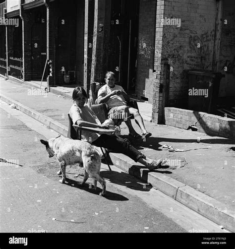 australian geographic redfern|redfern percentage.